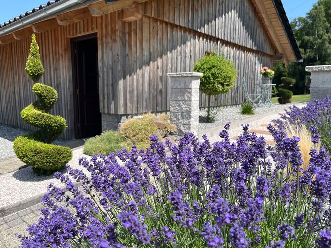 Schönstes Gartenfoto 2025 - Christian aus Schärding