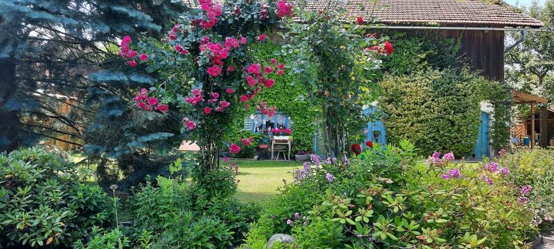 Schönstes Gartenfoto 2025 - Gerhard aus Ried
