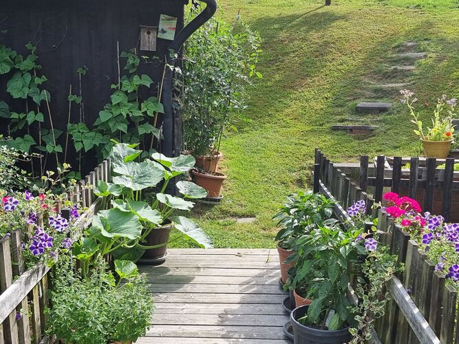 Schönstes Gartenfoto 2026 - Manuela Pühringer