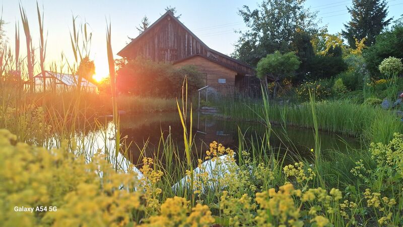 Schönstes Gartenfoto 2026 - Margarete Fischer