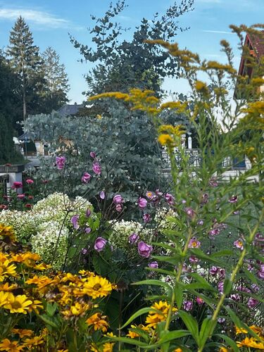 Schönstes Gartenfoto 2026 - Karin Kneidinger