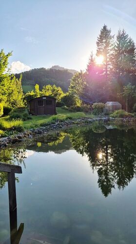 Schönstes Gartenfoto 2026 - Sabine Antensteiner