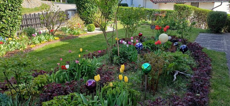 Schönstes Gartenfoto 2026 - Hildegard Smuda