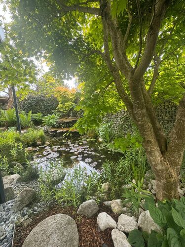 Schönstes Gartenfoto 2026 - Anton Hurnaus