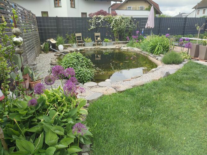 Schönstes Gartenfoto 2026 - Martina Giorietto