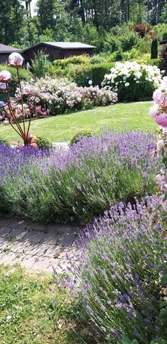 Schönstes Gartenfoto 2026 - Dzemo Karic