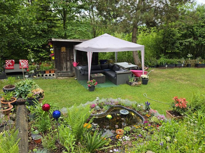 Schönstes Gartenfoto 2026 - Xénia Szomolányi