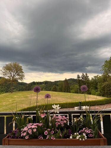Schönstes Gartenfoto 2026 - Sabrina Höbart