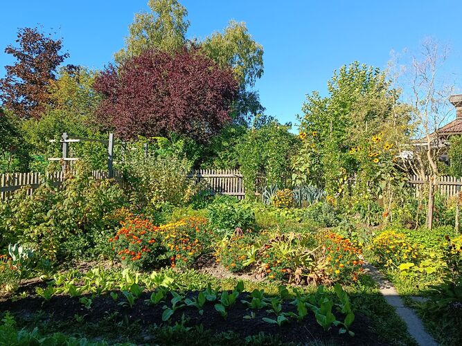Schönstes Gartenfoto 2026 - Josef Baumgartner