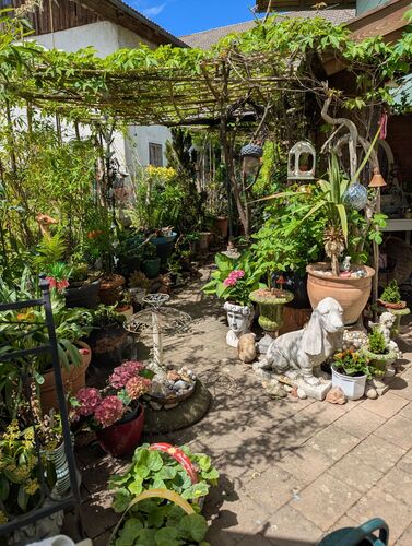 Schönstes Gartenfoto 2026 - Angela Tröger Wieser