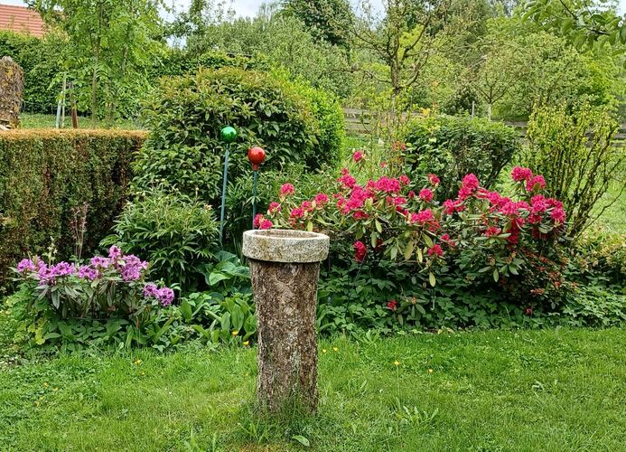 Schönstes Gartenfoto 2026 - Elvira Hüttel