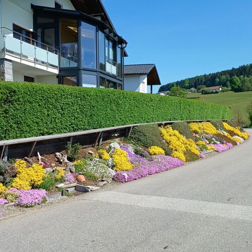 Schönstes Gartenfoto 2026 - Sieglinde Tröbinger