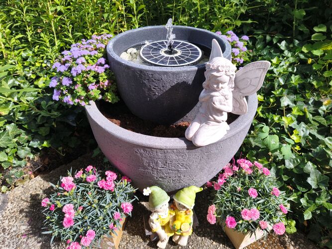 Schönstes Gartenfoto 2026 - Anita Mairinger