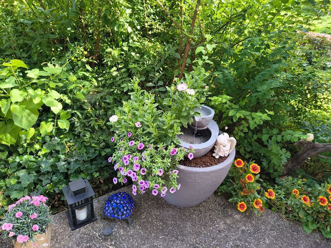 Schönstes Gartenfoto 2026 - Christina Mairinger