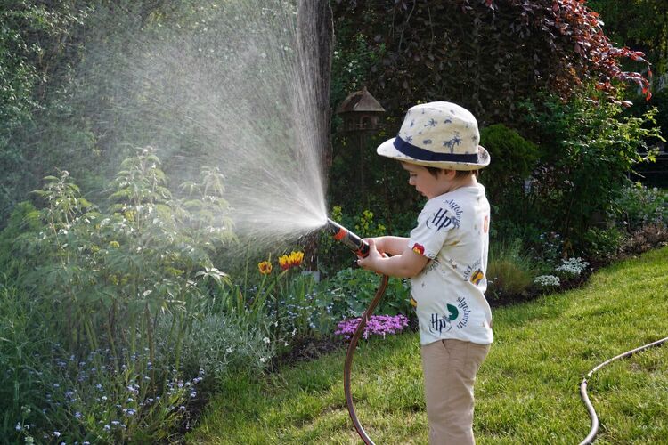 Schönstes Gartenfoto 2026 - Herbert Sauer