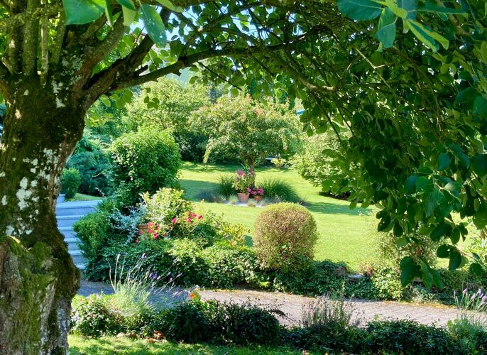 Schönstes Gartenfoto 2026 - Josef Baumgartinger
