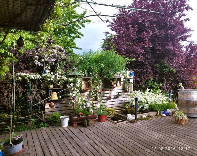 Schönstes Gartenfoto 2026 - Anni & Christian Huber