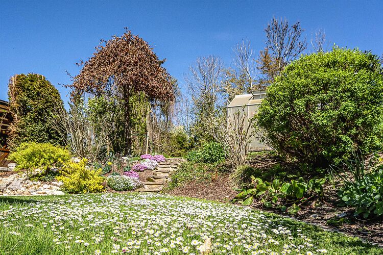 Schönstes Gartenfoto 2026 - Josef Kubinger