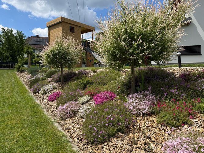 Schönstes Gartenfoto 2026 - Sandra Punz
