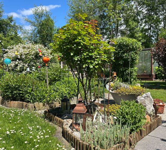 Schönstes Gartenfoto 2026 - Edith Steindl
