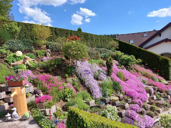 Schönstes Gartenfoto 2026 - Maria Lengauer