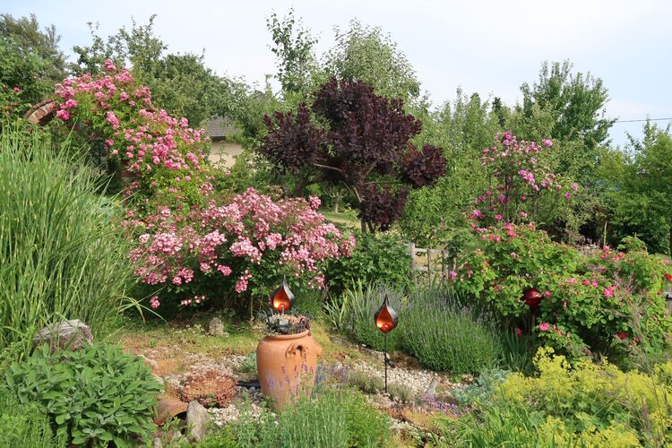 Schönstes Gartenfoto 2026 - Hedwig Paireder