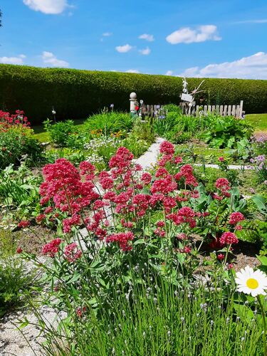 Schönstes Gartenfoto 2026 - Elfriede Hackl