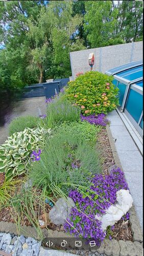 Schönstes Gartenfoto 2026 - Ingrid Kaiblinger