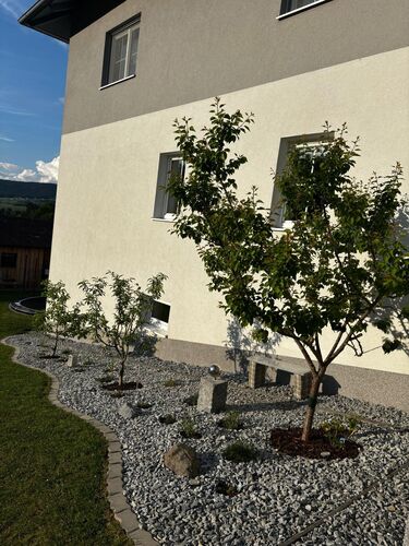 Schönstes Gartenfoto 2026 - Christine Barth