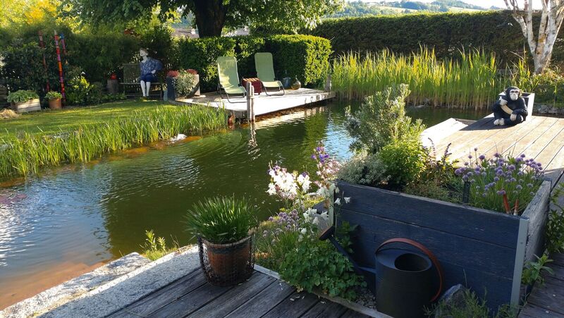Schönstes Gartenfoto 2026 - Robert Angerbauer