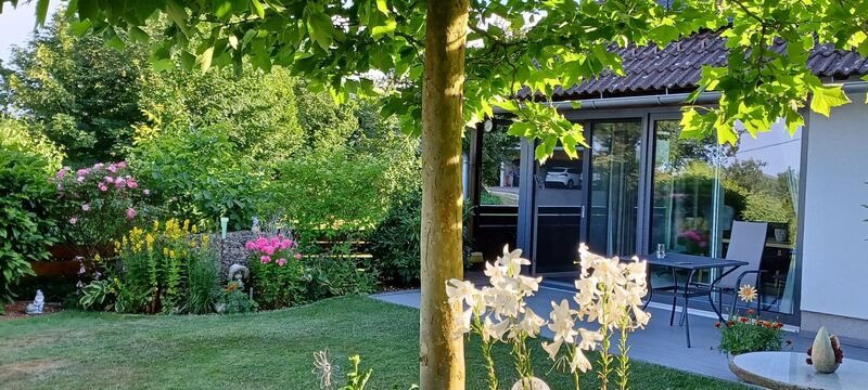 Schönstes Gartenfoto 2026 - Erika Panholzer