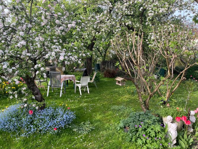 Schönstes Gartenfoto 2026 - Verena Schnitzhofer