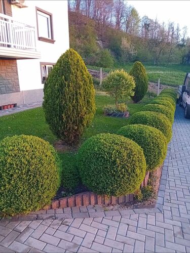 Schönstes Gartenfoto 2026 - Nermina Durak