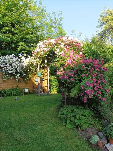 Schönstes Gartenfoto 2026 - Hannelore Radlingmayr