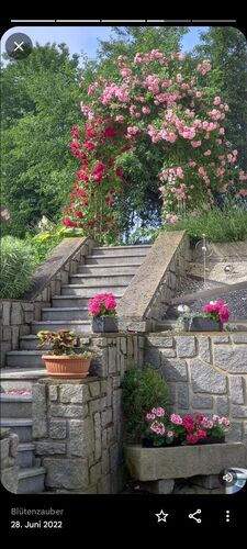 Schönstes Gartenfoto 2026 - Marlene Biberhofer