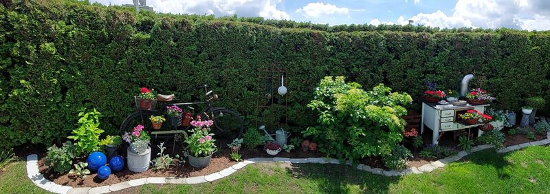 Schönstes Gartenfoto 2026 - Claudia Hummer
