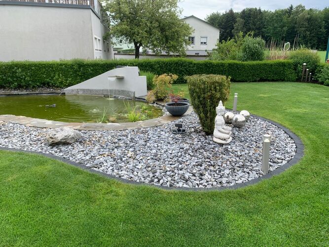 Schönstes Gartenfoto 2026 - Jennifer Prandstetter Prandstetter