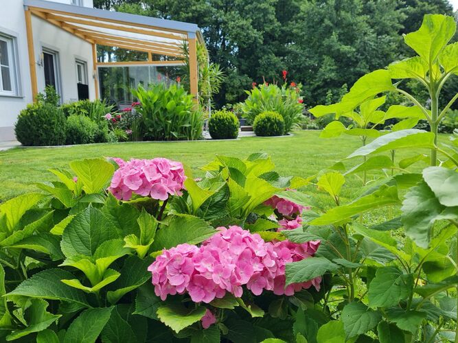 Schönstes Gartenfoto 2026 - Christina Steinkogler