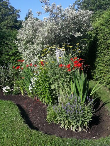Schönstes Gartenfoto 2026 - Nicole Möszler