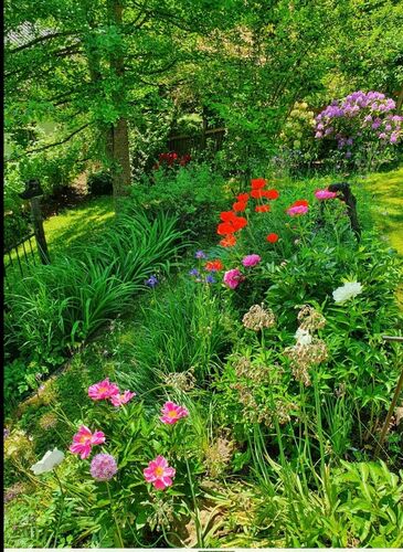 Schönstes Gartenfoto 2026 - Veronika Entholzer