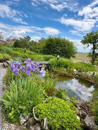 Schönstes Gartenfoto 2026 - Margit Doblhofer