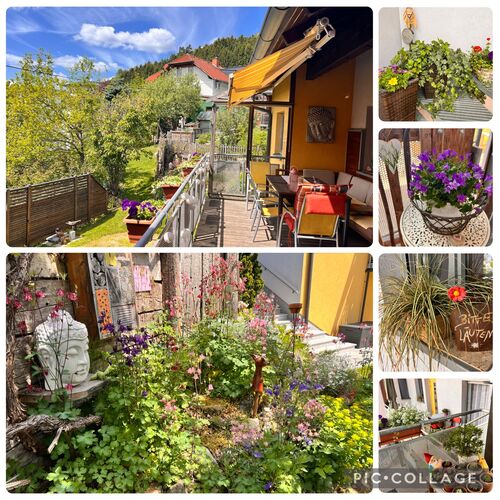 Schönstes Gartenfoto 2026 - Sabine Hackl
