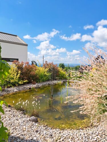 Schönstes Gartenfoto 2026 - Melanie Nesser