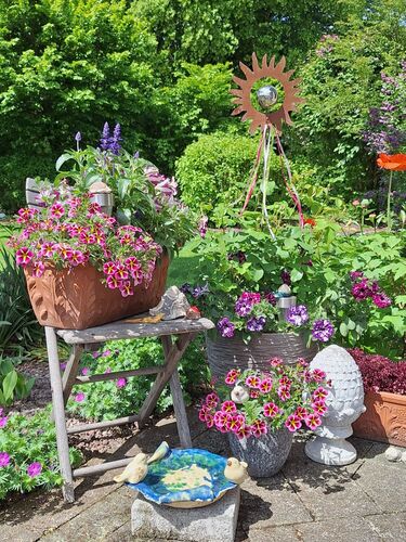 Schönstes Gartenfoto 2026 - Karin Strittl