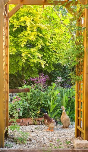 Schönstes Gartenfoto 2026 - Ursula Schweiger