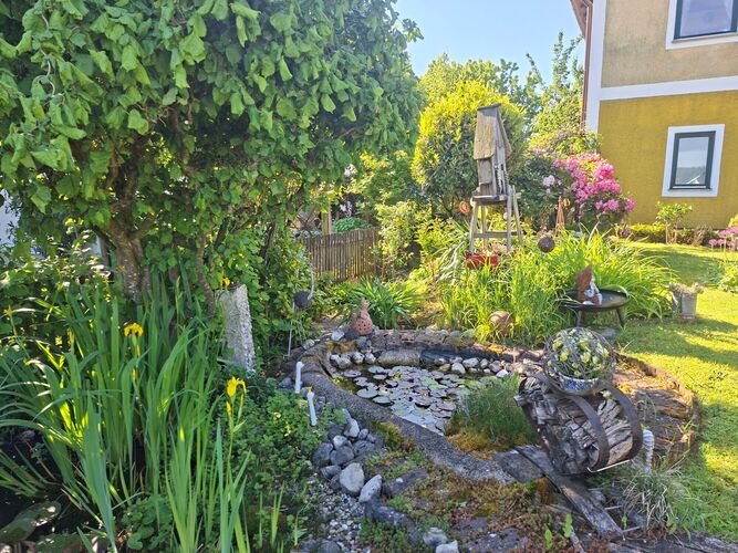 Schönstes Gartenfoto 2026 - Hauer Brigitte