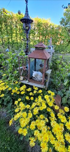 Schönstes Gartenfoto 2026 - christine zauner