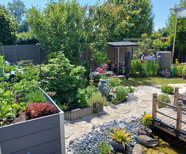 Schönstes Gartenfoto 2026 - Bernadette Hammerschmied
