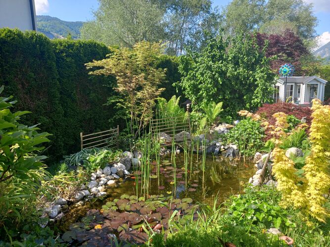 Schönstes Gartenfoto 2026 - Monika Huedl