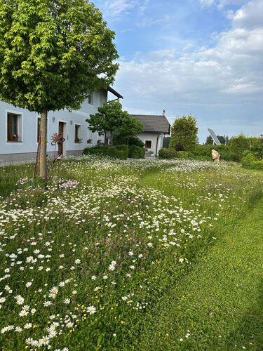 Schönstes Gartenfoto 2026 - Silke Deubler
